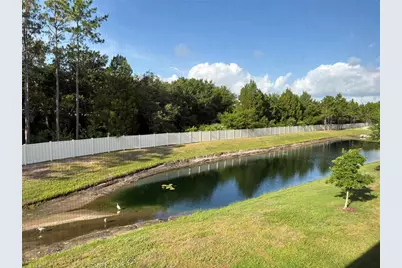 5636 Grand Sonata Avenue, Lutz, FL 33558 - Photo 37