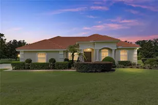 19616 Amazon Basin Bend, Lutz, FL 33559 - Photo 9
