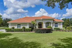 19616 Amazon Basin Bend, Lutz, FL 33559 - Photo 1