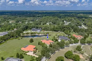 19616 Amazon Basin Bend, Lutz, FL 33559 - Photo 91