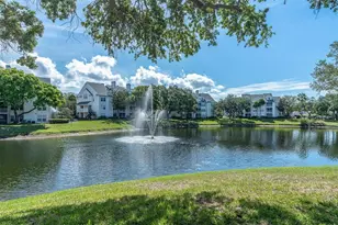 3313 Haviland Ct, Palm Harbor, FL 34684 - Photo 11