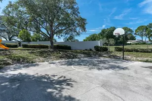 3313 Haviland Ct, Palm Harbor, FL 34684 - Photo 13