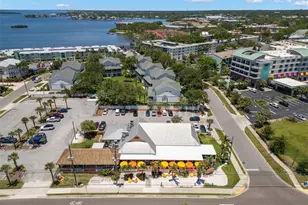 433 S Paula Dr, Dunedin, FL 34698 - Photo 33