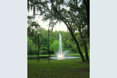 5100 Burchette Road #3802, Tampa, FL 33647 - Photo 3