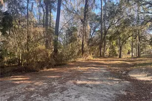 0 198th Ln, Fort Mc Coy, FL 32134 - Photo 1