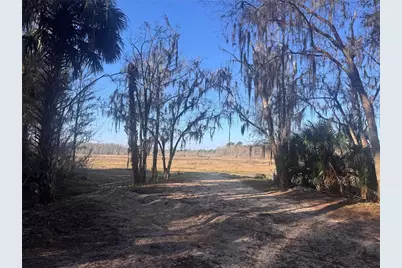 0 198th Lane, Fort Mc Coy, FL 32134 - Photo 9