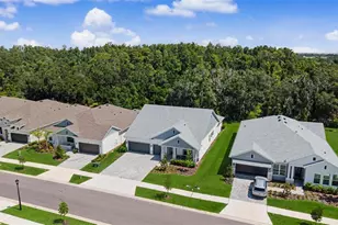 31537 Hayman Loop, Wesley Chapel, FL 33543 - Photo 33