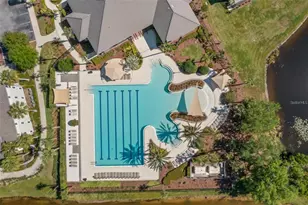 14533 Cotswolds Dr, Tampa, FL 33626 - Photo 31