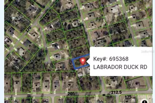 11335 Labrador Duck Rd, Weeki Wachee, FL 34614 - Photo 1