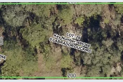 11335 Labrador Duck Road, Weeki Wachee, FL 34614 - Photo 1