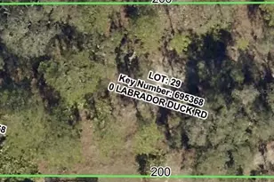 11335 Labrador Duck Rd, Weeki Wachee, FL 34614 - Photo 1