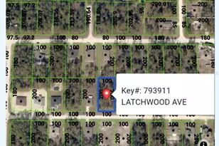 Latchwood Ave, Weeki Wachee, FL 34614 - Photo 1