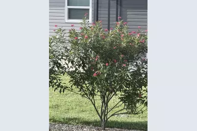 2790 Carytown Loop, The Villages, FL 32163 - Photo 25