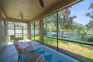 18636 Strombury Drive, Land O Lakes, FL 34638 - Photo 37