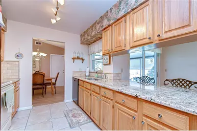 12604 Trucious Place, Tampa, FL 33625 - Photo 11