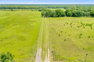 12616 Thonotosassa Rd, Thonotosassa, FL 33592 - Photo 53