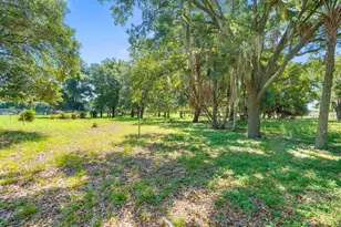 12616 Thonotosassa Rd, Thonotosassa, FL 33592 - Photo 43