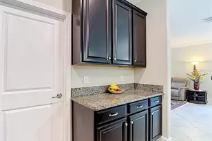 17488 Terrazzo Way, Land O Lakes, FL 34638 - Photo 13