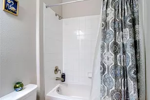 17488 Terrazzo Way, Land O Lakes, FL 34638 - Photo 29