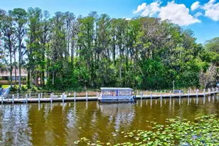 1743 Macdonnell Dr, Palm Harbor, FL 34684 - Photo 61