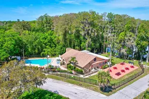 1743 Macdonnell Dr, Palm Harbor, FL 34684 - Photo 55