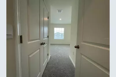 32930 Regent Canal Street, Wesley Chapel, FL 33545 - Photo 33