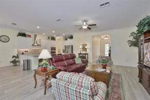 16955 Scuba Crest St, Wimauma, FL 33598 - Photo 9