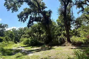 Sydney Washer Rd, Dover, FL 33527 - Photo 1