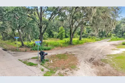 Sydney Washer Road, Dover, FL 33527 - Photo 3