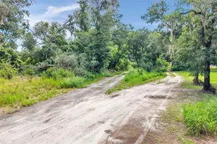 Sydney Washer Rd, Dover, FL 33527 - Photo 1