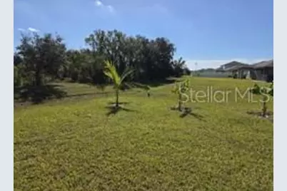 12588 Timber Moss Lane, Riverview, FL 33579 - Photo 17