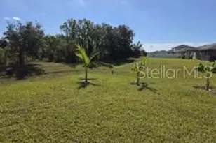 12588 Timber Moss Ln, Riverview, FL 33579 - Photo 17