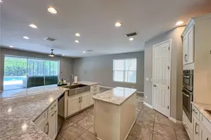 8033 Clementine Ln, Tampa, FL 33625 - Photo 31