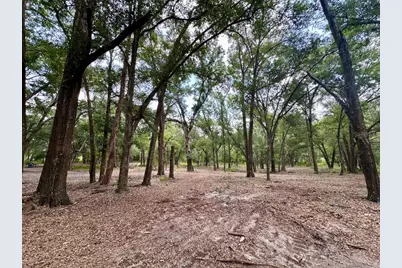 11000 Kitten Trail, Hudson, FL 34669 - Photo 17