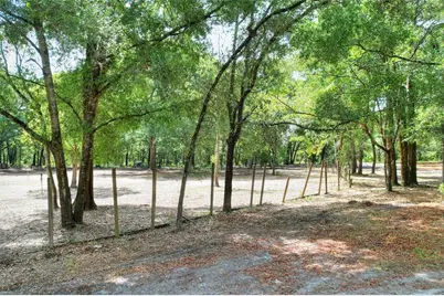 11000 Kitten Trail, Hudson, FL 34669 - Photo 39