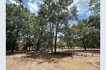 11000 Kitten Trail, Hudson, FL 34669 - Photo 15