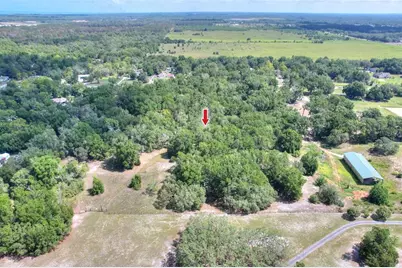 11000 Kitten Trail, Hudson, FL 34669 - Photo 7