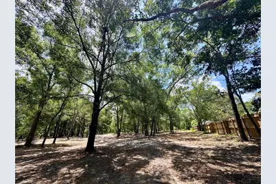 11000 Kitten Trail, Hudson, FL 34669 - Photo 31