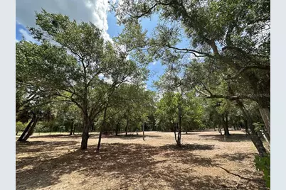 11000 Kitten Trail, Hudson, FL 34669 - Photo 11