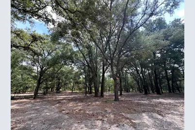 11000 Kitten Trail, Hudson, FL 34669 - Photo 23