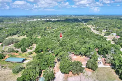 11000 Kitten Trail, Hudson, FL 34669 - Photo 9