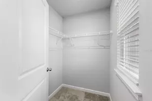 4366 Cloud Hopper Wy, Lutz, FL 33559 - Photo 17