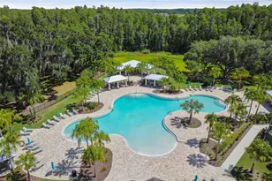 10742 New Morning Dr, Tampa, FL 33647 - Photo 43