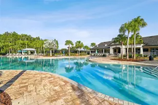 10742 New Morning Dr, Tampa, FL 33647 - Photo 45