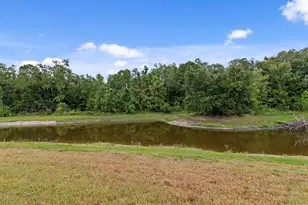 10742 New Morning Dr, Tampa, FL 33647 - Photo 35