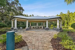 10742 New Morning Dr, Tampa, FL 33647 - Photo 45