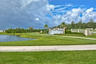8325 Olive Brook Dr, Wesley Chapel, FL 33545 - Photo 39
