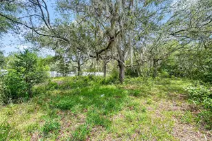 23162 SW Neptune Blvd, Dunnellon, FL 34431 - Photo 3