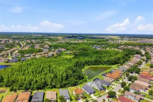 21439 Southern Charm Dr, Land O Lakes, FL 34637 - Photo 51