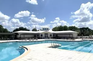 6921 Jamestown Manor Dr, Riverview, FL 33578 - Photo 23